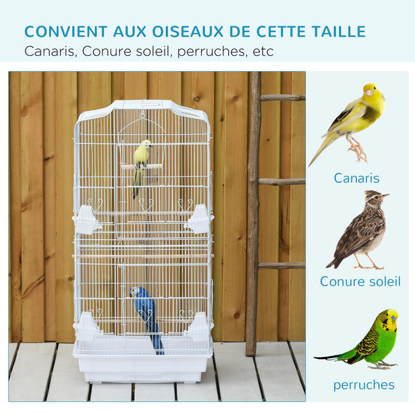 Grande Cage à Oiseaux avec Accessoires