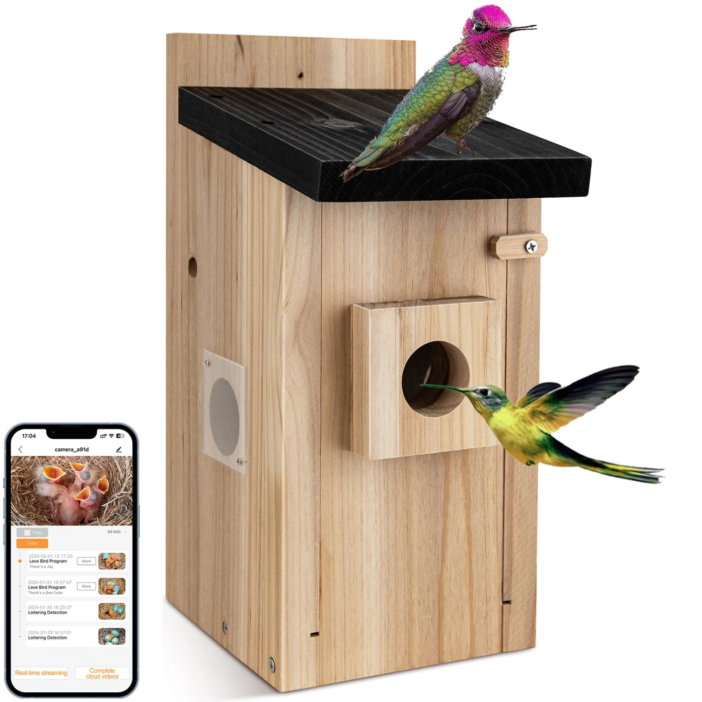 Nichoir Connecté HD : Observez les Oiseaux sur Votre Mobile