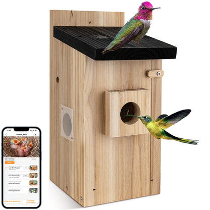 Nichoir Connecté HD : Observez les Oiseaux sur Votre Mobile