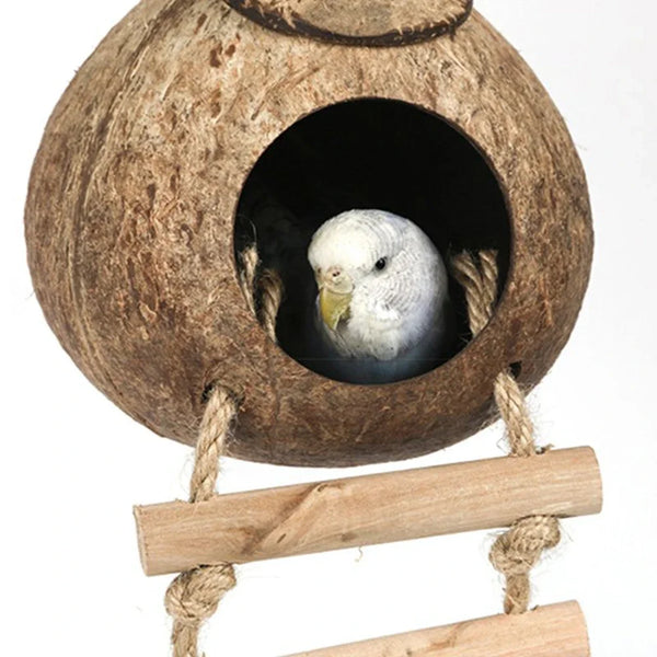Cabane Nid en Noix de Coco Suspendue pour Oiseaux
