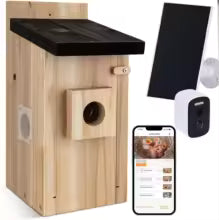 Nichoir Connecté HD : Observez les Oiseaux sur Votre Mobile