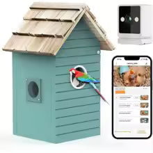 Nichoir Connecté HD : Observez les Oiseaux sur Votre Mobile