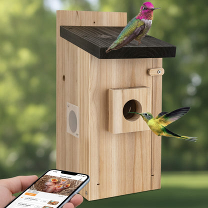 Nichoir Connecté HD : Observez les Oiseaux sur Votre Mobile