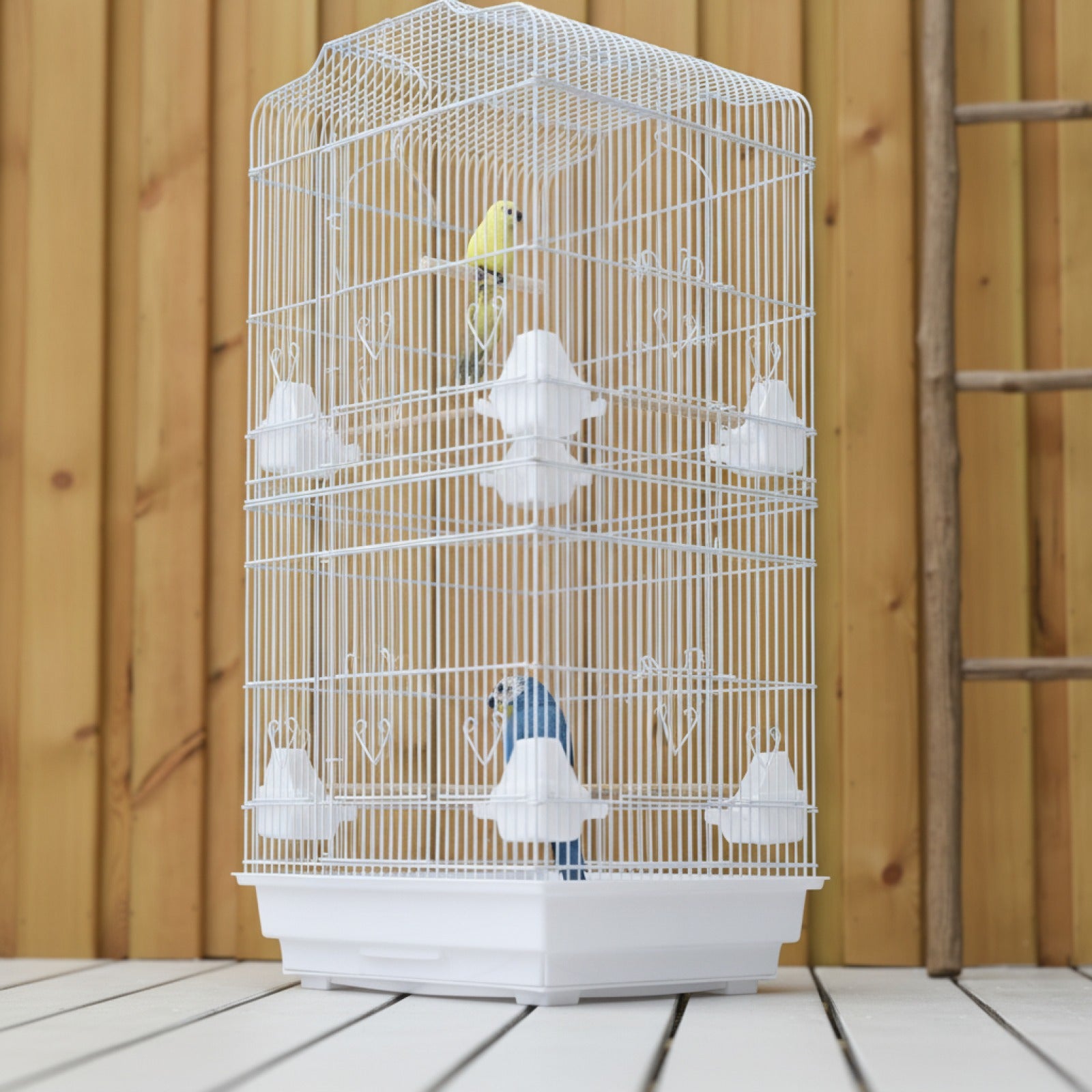 Grande Cage à Oiseaux avec Accessoires