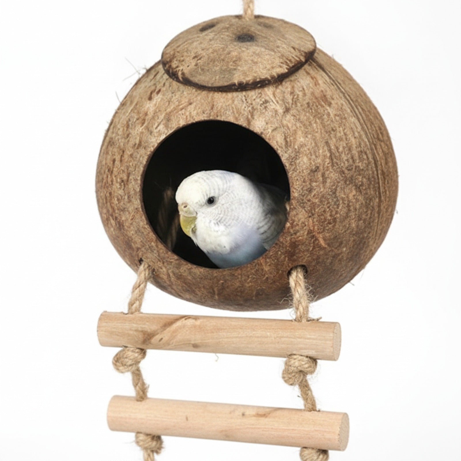 Cabane Nid en Noix de Coco Suspendue pour Oiseaux