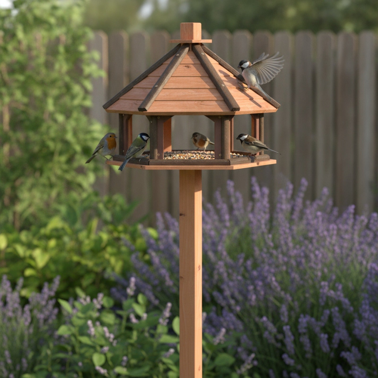 Nichoir Mangeoire en Bois avec Support