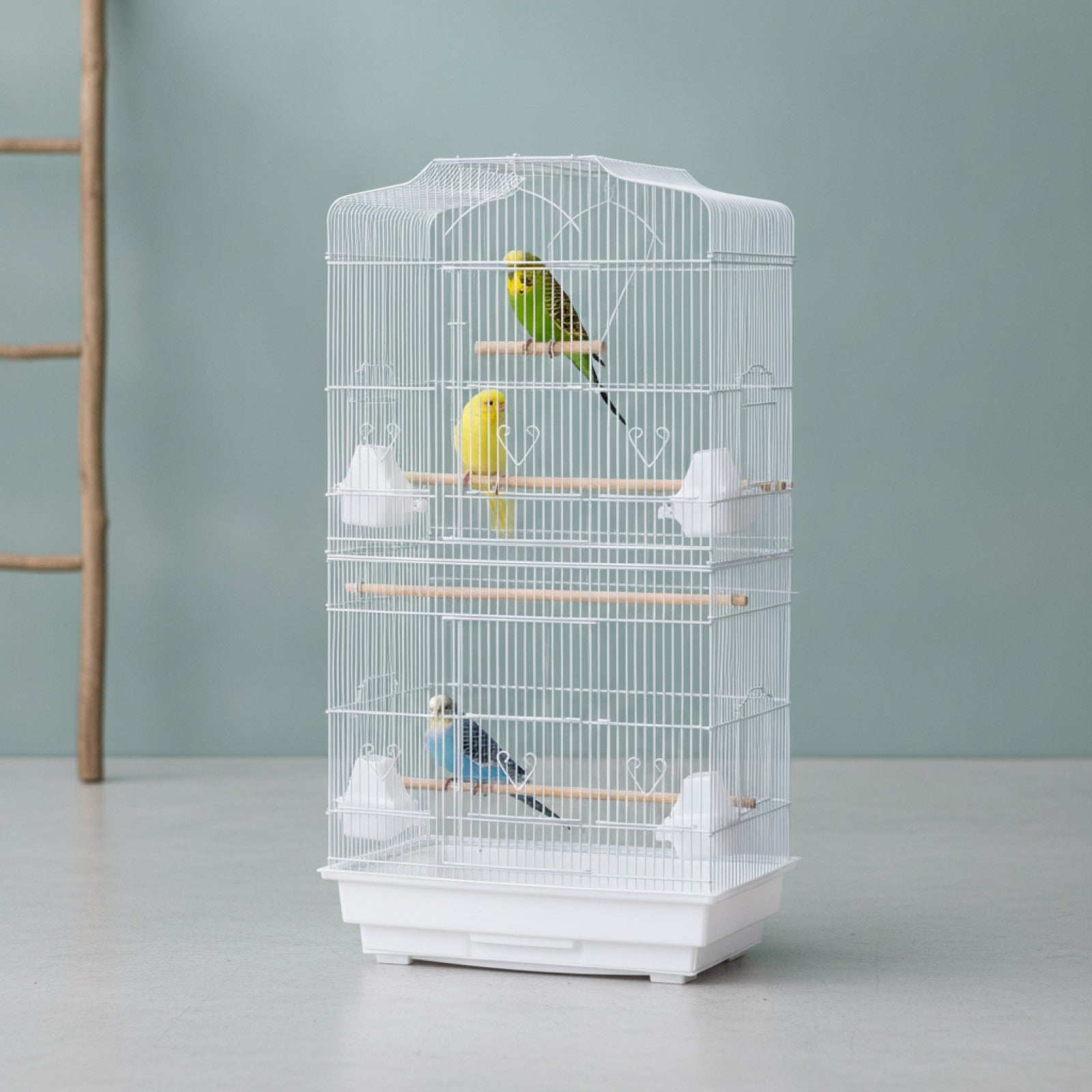 Grande Cage à Oiseaux avec Accessoires