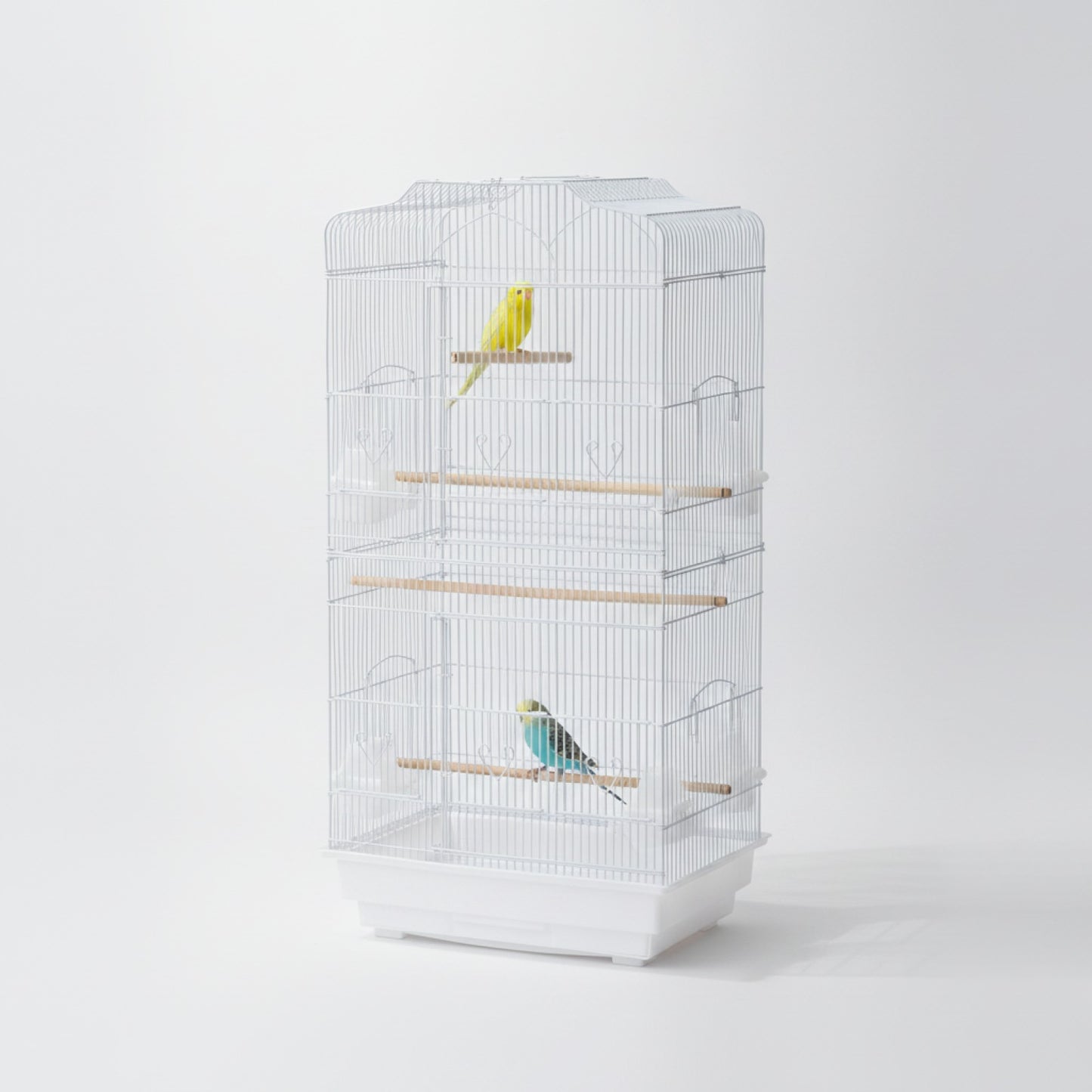 Grande Cage à Oiseaux avec Accessoires