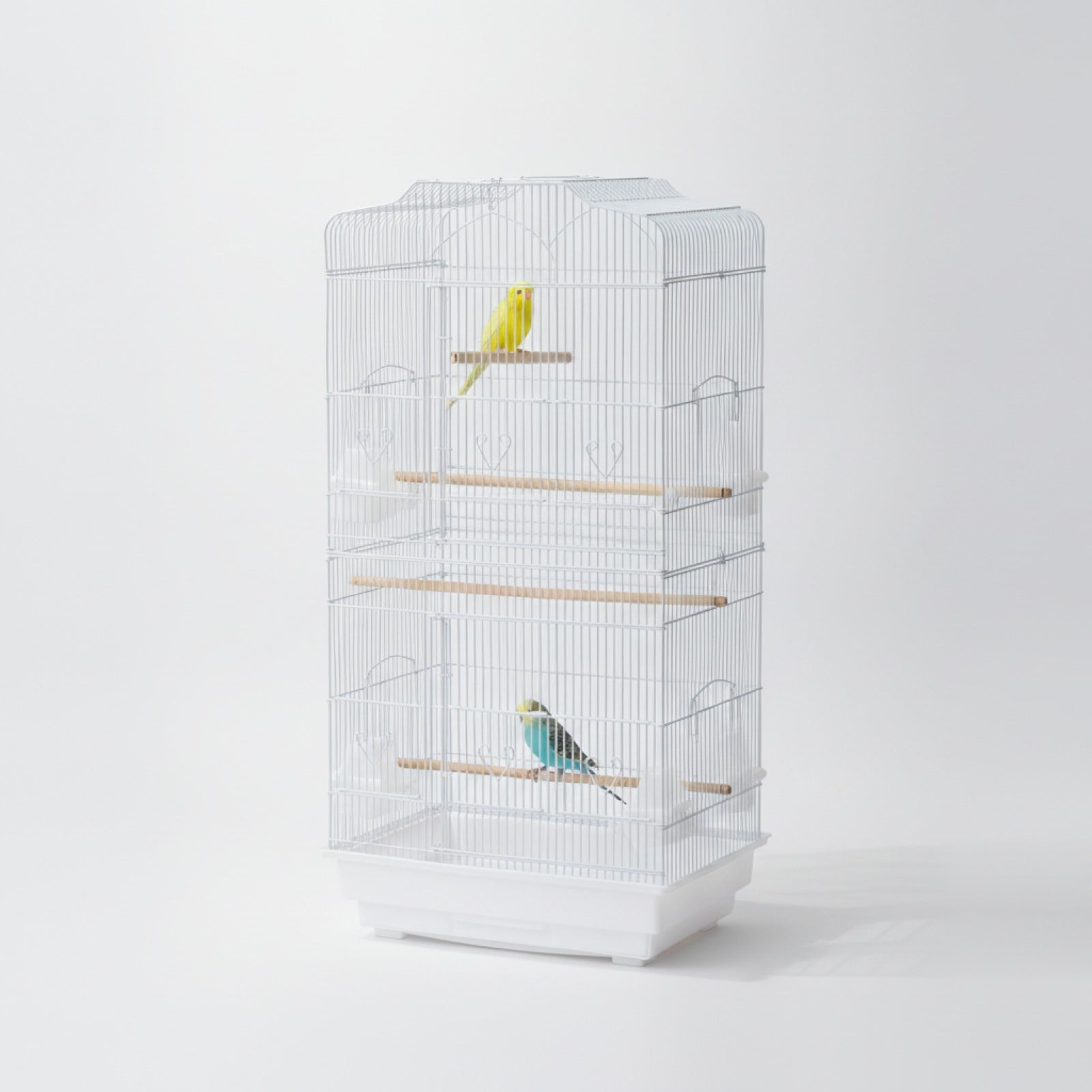 Grande Cage à Oiseaux avec Accessoires